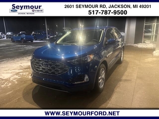 2022 Ford Edge for sale in Jackson MI