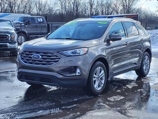 2019 Ford Edge for sale in Woodhaven MI