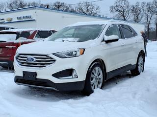 2019 Ford Edge for sale in Whitehall MI