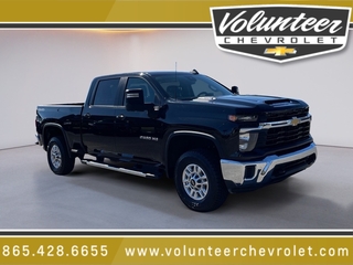 2024 Chevrolet Silverado 2500HD for sale in Sevierville TN