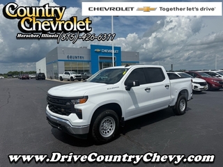 2024 Chevrolet Silverado 1500 for sale in Herscher IL