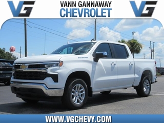 2024 Chevrolet Silverado 1500 for sale in Eustis FL