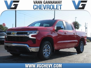 2024 Chevrolet Silverado 1500 for sale in Eustis FL