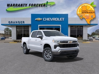 2025 Chevrolet Silverado 1500 for sale in Orange TX
