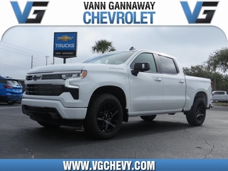 2024 Chevrolet Silverado 1500 for sale in Eustis FL