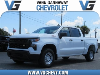 2024 Chevrolet Silverado 1500 for sale in Eustis FL