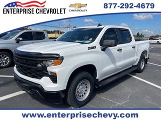 2024 Chevrolet Silverado 1500 for sale in Enterprise AL