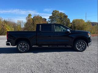 2024 Chevrolet Silverado 1500 for sale in Rogersville TN