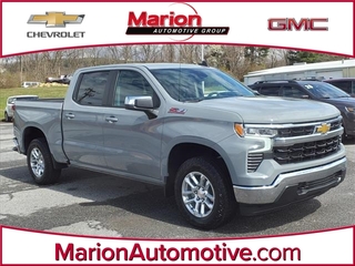 2024 Chevrolet Silverado 1500 for sale in Marion VA