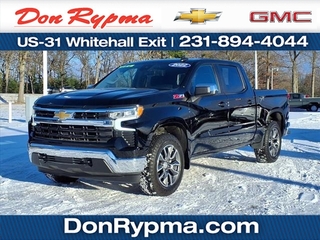 2022 Chevrolet Silverado 1500 for sale in Whitehall MI