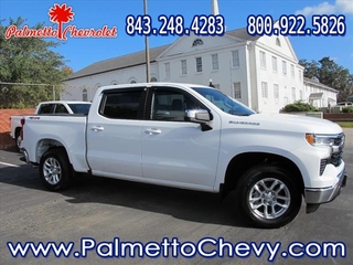 2023 Chevrolet Silverado 1500 for sale in Winchester VA