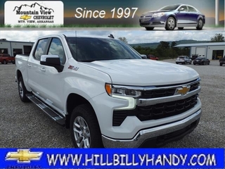 2024 Chevrolet Silverado 1500 for sale in Mountain View AR