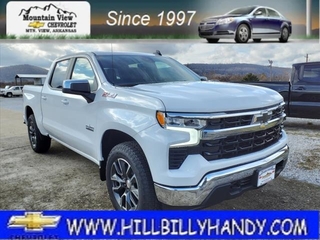 2024 Chevrolet Silverado 1500 for sale in Mountain View AR