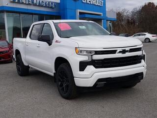 2022 Chevrolet Silverado 1500 for sale in Ringgold GA