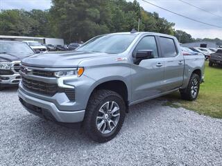 2023 Chevrolet Silverado 1500 for sale in Hartselle AL