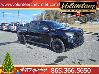 2022 Chevrolet Silverado 1500 for sale in Sevierville TN