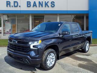 2023 Chevrolet Silverado 1500 for sale in Warren OH