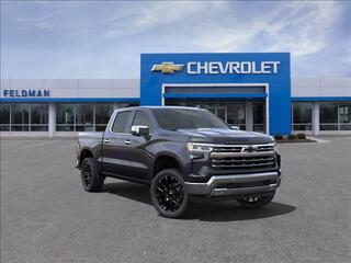 2024 Chevrolet Silverado 1500 for sale in Novi MI