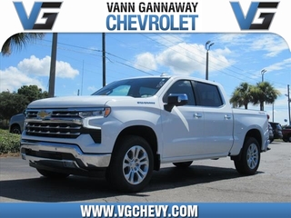 2024 Chevrolet Silverado 1500 for sale in Eustis FL