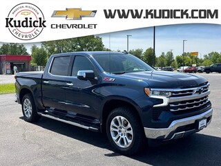 2023 Chevrolet Silverado 1500 for sale in Mauston WI