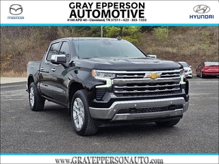 2023 Chevrolet Silverado 1500 for sale in Cleveland TN