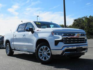2024 Chevrolet Silverado 1500 for sale in Fruitland Park FL
