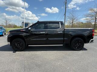 2023 Chevrolet Silverado 1500 for sale in Dandridge TN