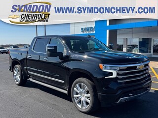 2024 Chevrolet Silverado 1500 for sale in Mount Horeb WI