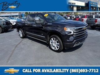 2024 Chevrolet Silverado 1500 for sale in Knoxville TN