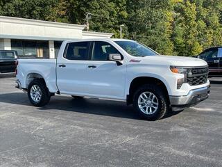 2025 Chevrolet Silverado 1500 for sale in Princeton WV