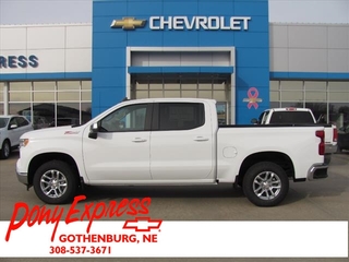 2025 Chevrolet Silverado 1500 for sale in Gothenburg NE