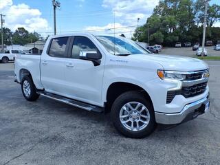2026 Chevrolet Silverado 1500 for sale in Roanoke VA