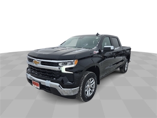 2025 Chevrolet Silverado 1500 for sale in Grand Rapids MN