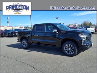 2025 Chevrolet Silverado 1500 for sale in Spartanburg SC
