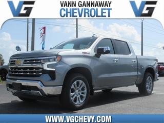 2025 Chevrolet Silverado 1500 for sale in Eustis FL