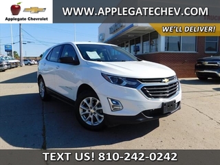 2019 Chevrolet Equinox for sale in Flint MI