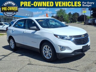 2018 Chevrolet Equinox for sale in Fowlerville MI