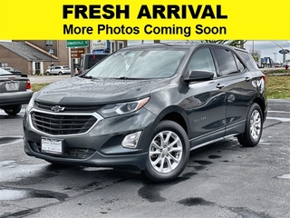 2019 Chevrolet Equinox for sale in Litchfield IL