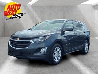 2020 Chevrolet Equinox for sale in Grand Rapids MI