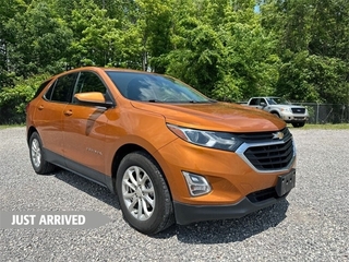 2019 Chevrolet Equinox for sale in Youngstown OH