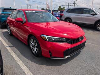 2025 Honda Civic for sale in Bowling Green KY