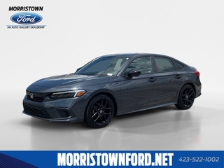 2024 Honda Civic for sale in Morristown TN
