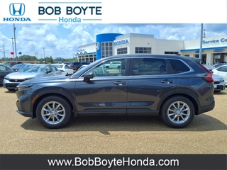 2026 Honda CR-V for sale in Brandon MS