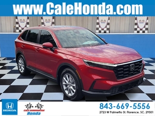 2026 Honda CR-V for sale in Florence SC