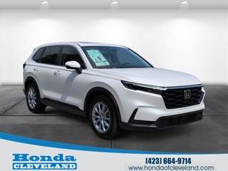 2026 Honda CR-V for sale in Cleveland TN