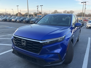 2024 Honda CR-V for sale in Batesville MS