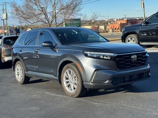 2024 Honda CR-V for sale in Greenville SC