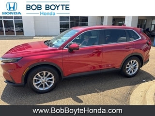 2025 Honda CR-V for sale in Brandon MS