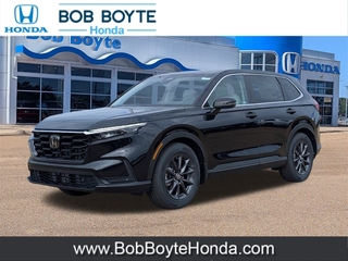 2026 Honda CR-V for sale in Brandon MS