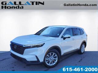 2024 Honda CR-V for sale in Gallatin TN